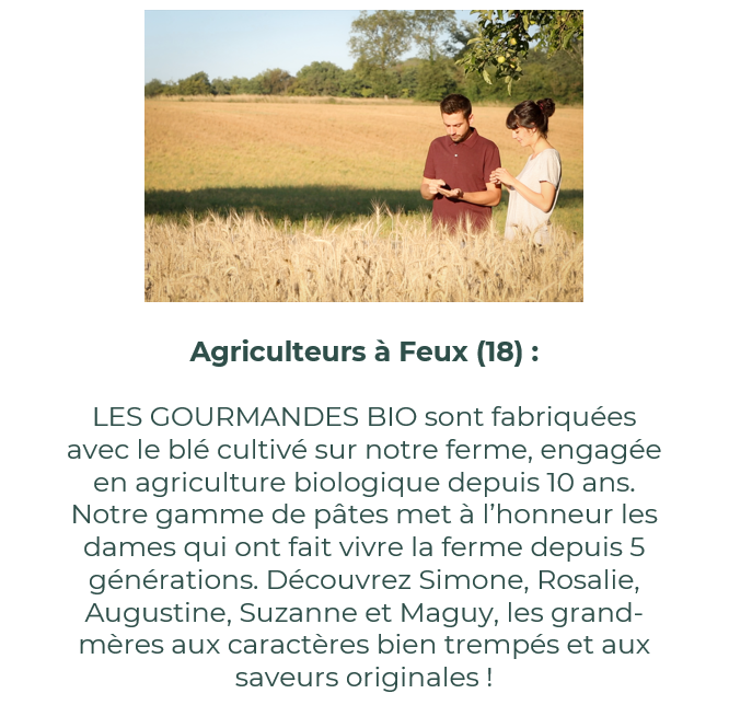 Les Gourmandes Bio - Augustine - Tomate / Basilic / Nature BIO - 200g